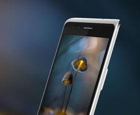 国产视频手机在线,引领潮流的影像新纪元